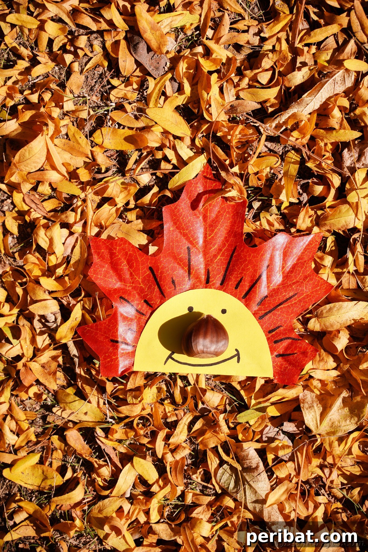 Happy face on fake leaf that is laying on real fallen leaves
