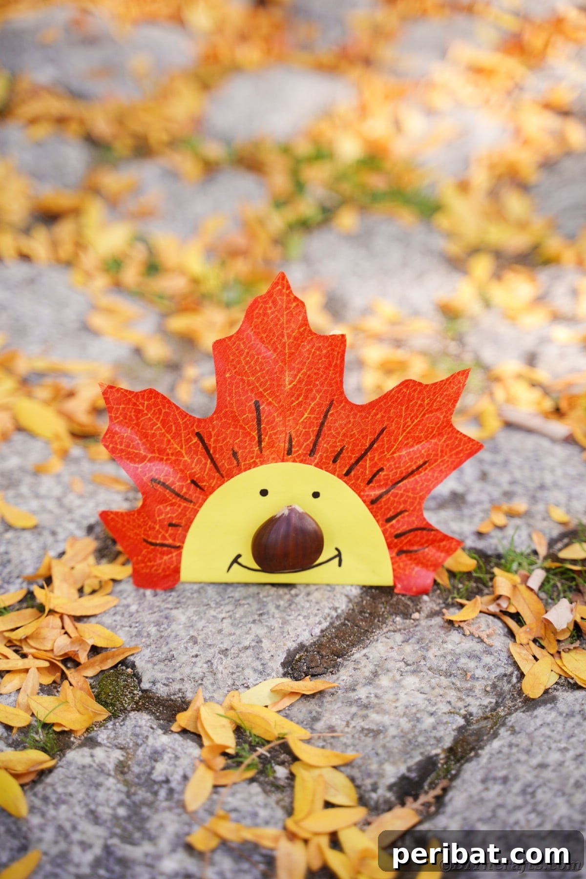 Orange and yellow leaf face on cobblestone ground