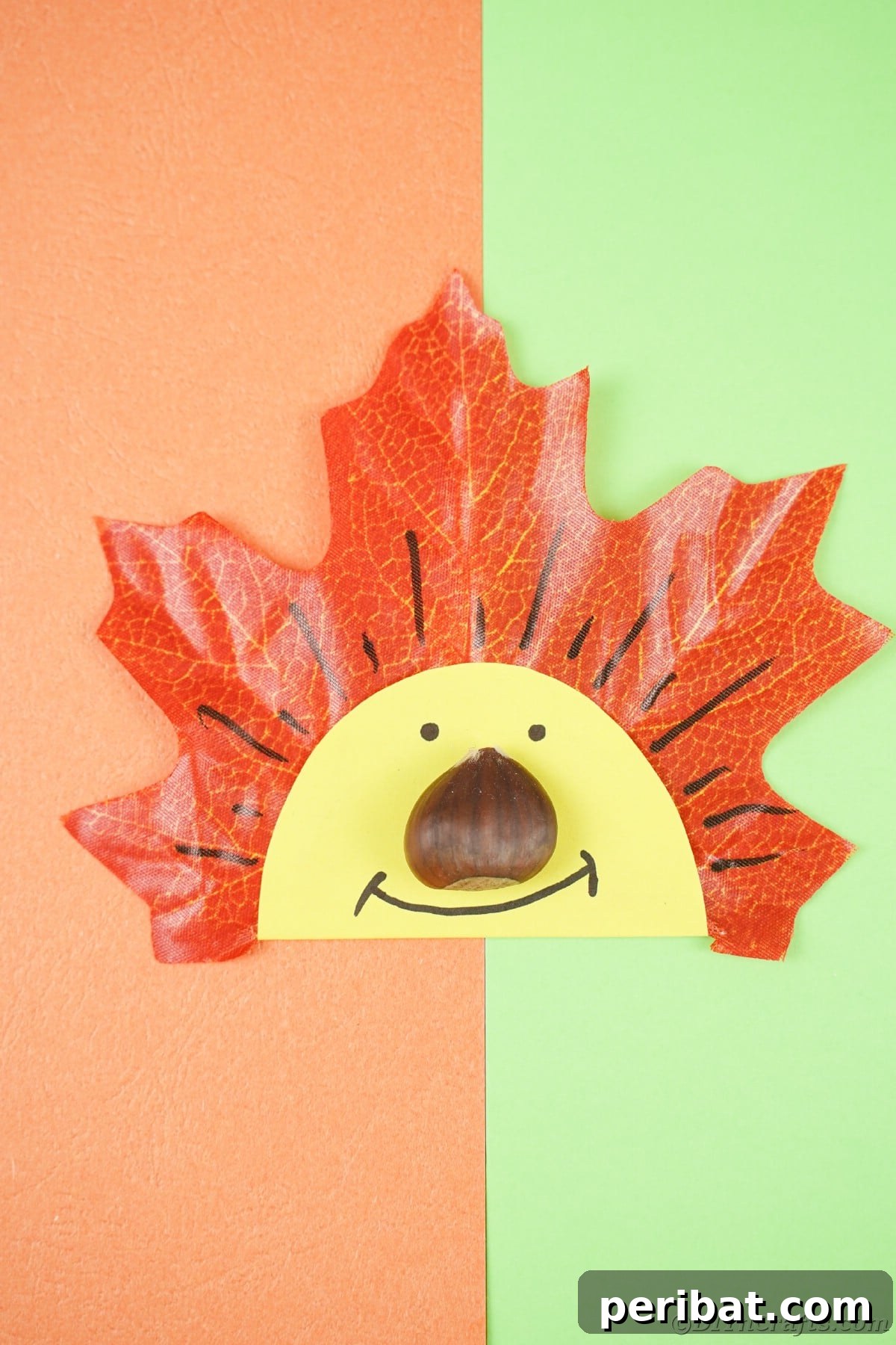 Smiling face on fake leaf laying on orange and green craft paper