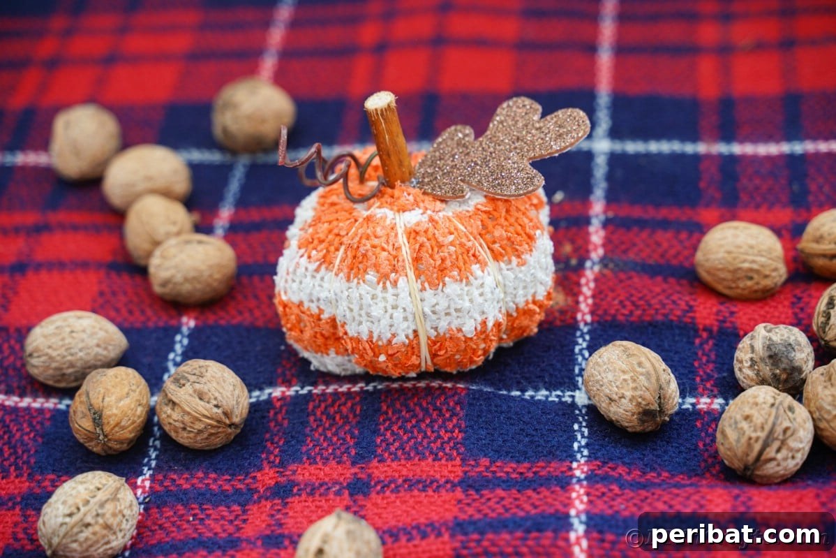 Cozy Sock Pumpkins Fall Home Decor 3 Red and blue plaid fabric underneath whole pecans and a charming striped fabric pumpkin, highlighting rustic autumn aesthetics
