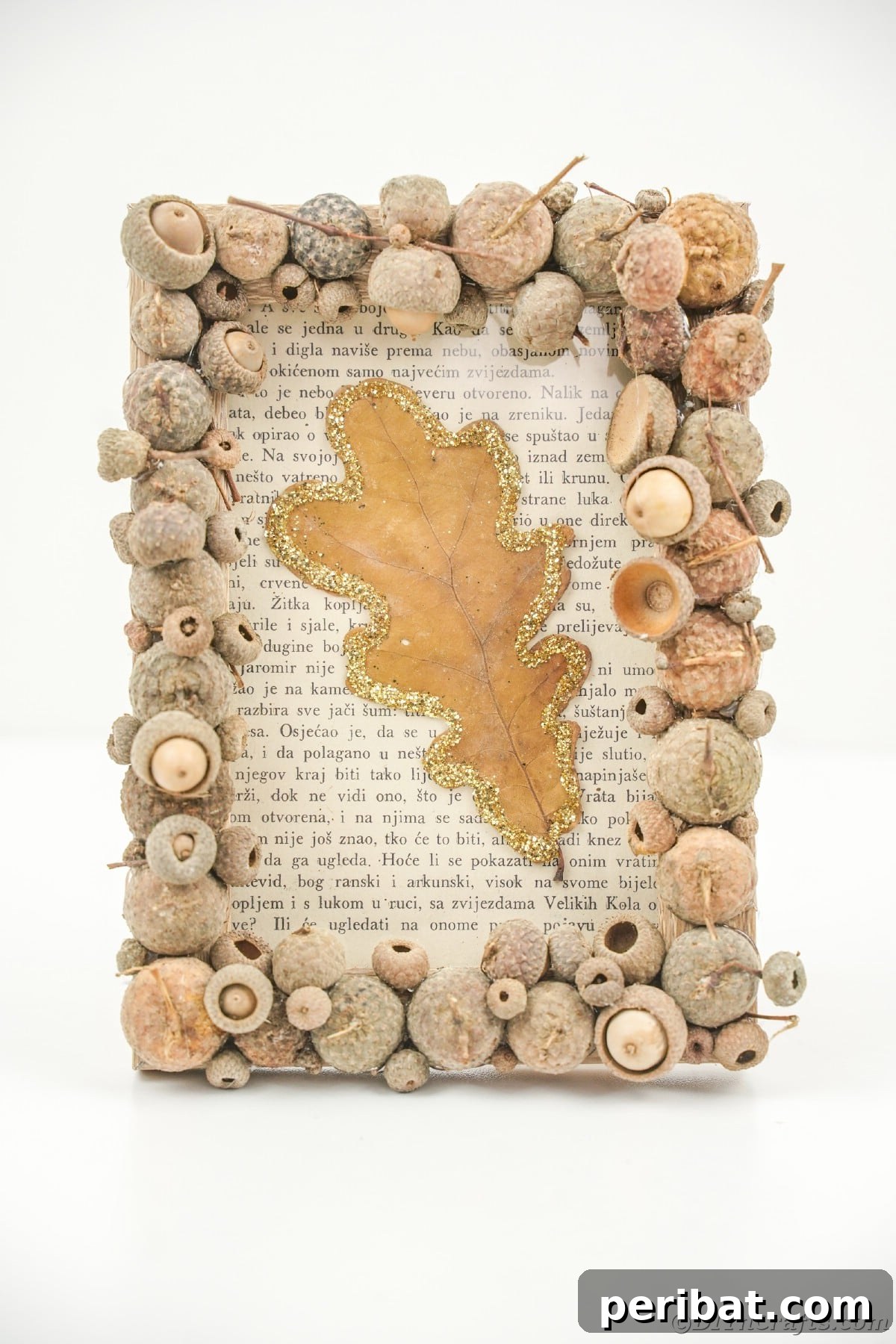 Acorn cap frame featuring a book page and a detailed leaf inside, highlighting the intricate craftwork.