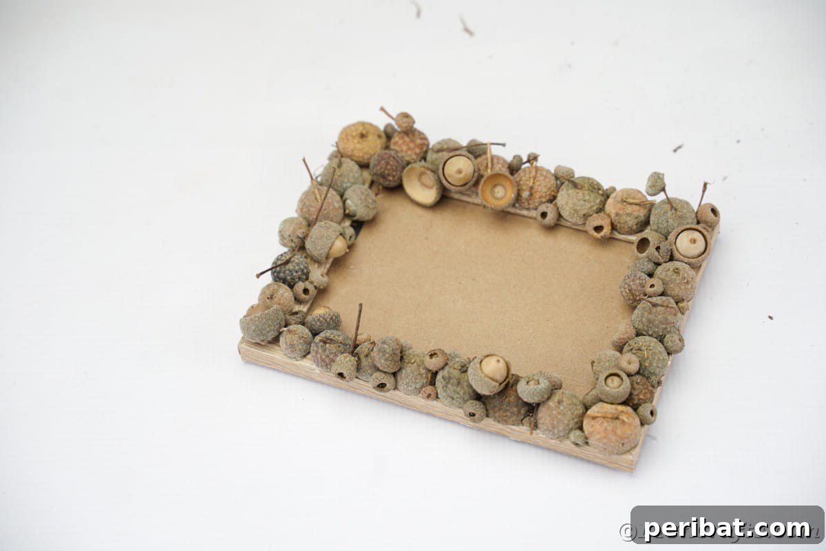 Picture frame with acorn caps meticulously arranged around its edges, showcasing the rustic embellishment.