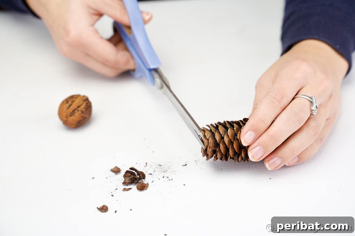 Adorable Pinecone and Pecan Mice Craft 8 scissors trimming petals off pinecone