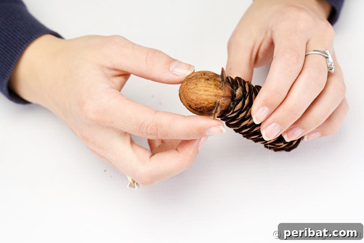 Adorable Pinecone and Pecan Mice Craft 9 attaching pecan to end of pinecone