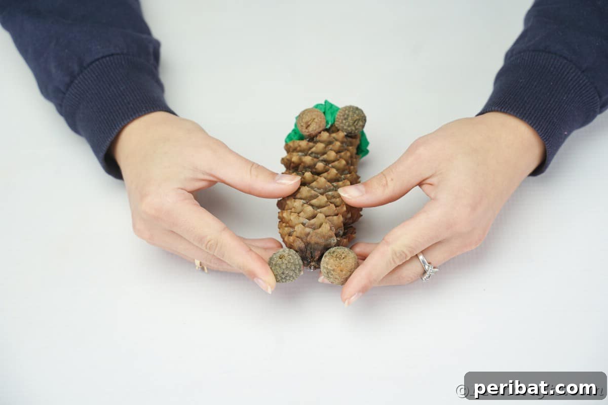 Hands holding two acorn caps on top of a pinecone, positioning them as ears