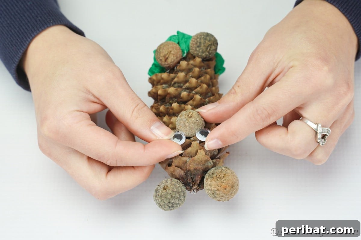Hands holding googly eyes, placing them above the acorn cap snout on the pinecone bear
