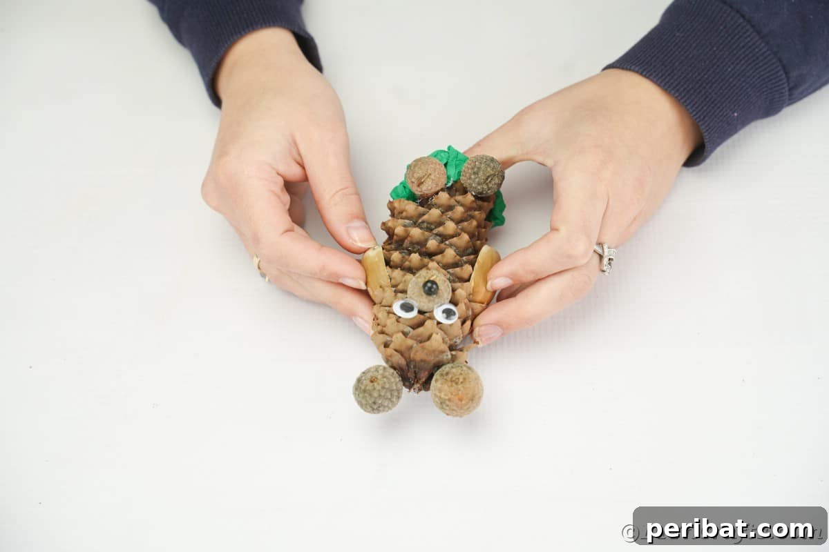 Hands holding two pecan shell halves, gluing them onto the sides of the pinecone to form arms