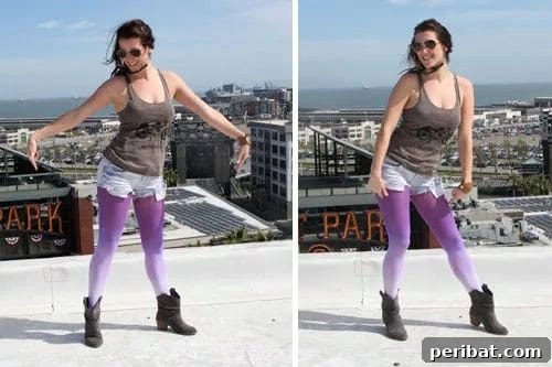 Ombre Tights