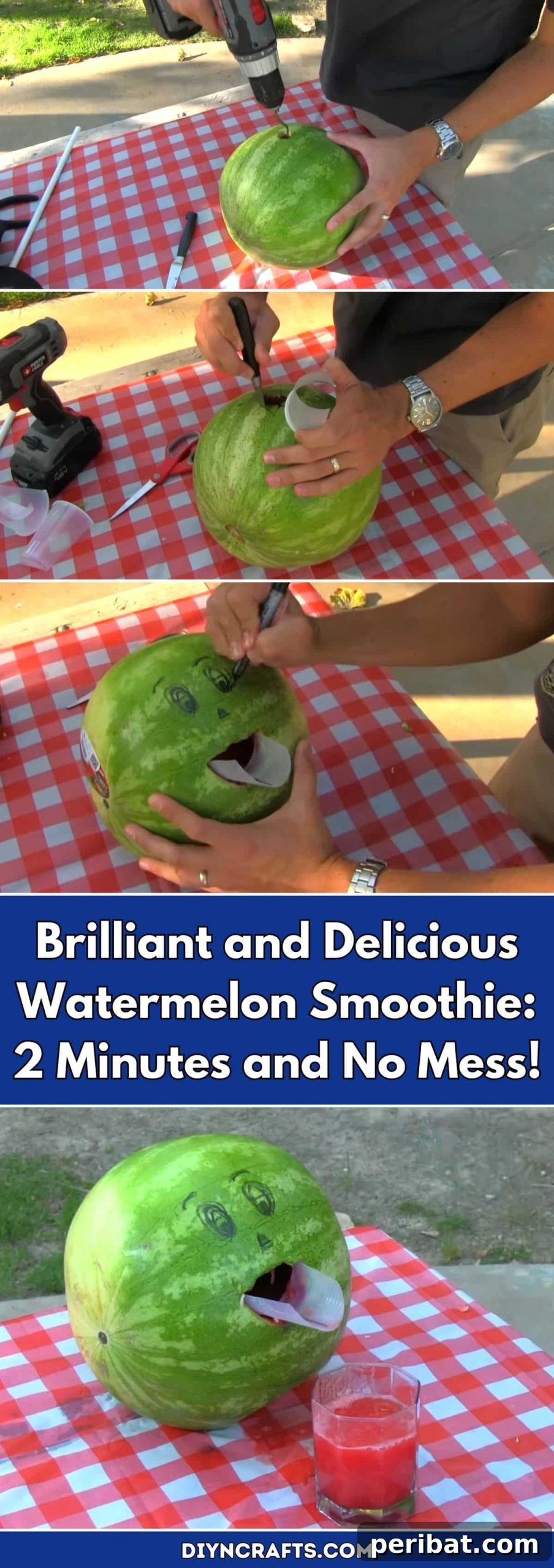 Two Minute Watermelon Wonder 2 Brilliant and Delicious Watermelon Smoothie: 2 Minutes and No Mess! pinterest image