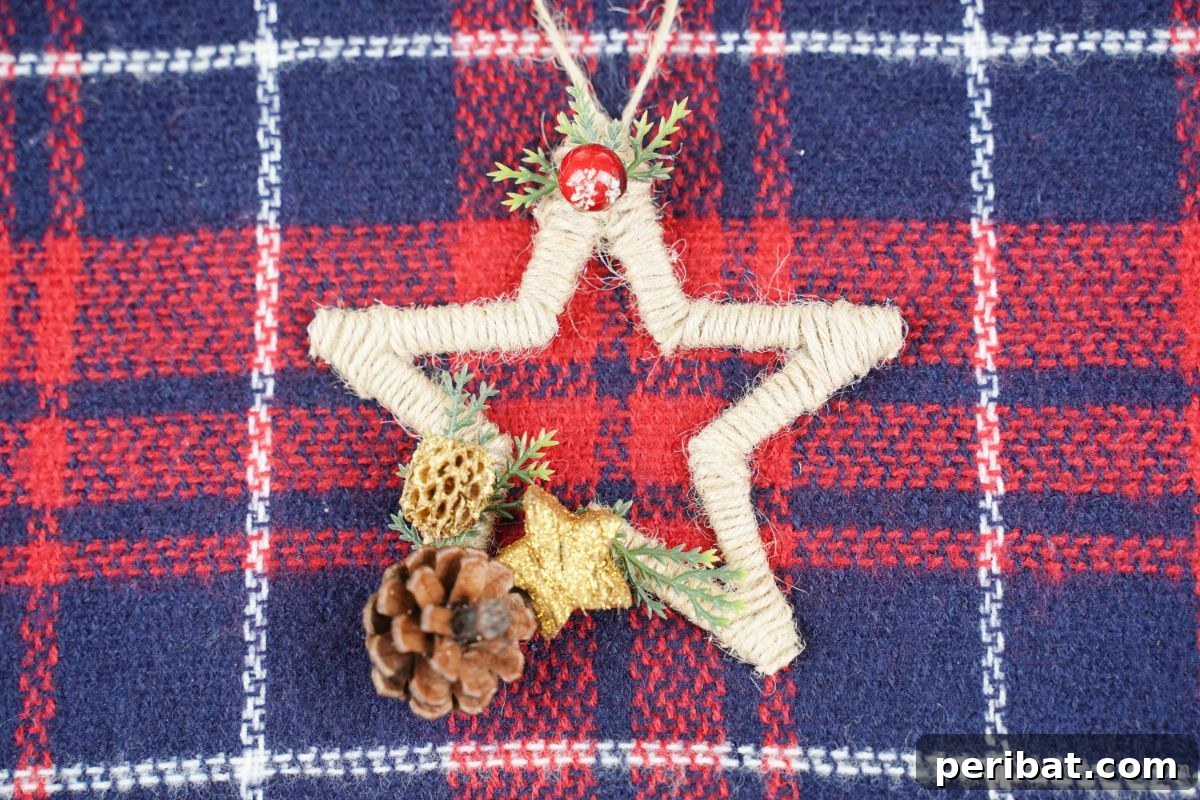 Close-up of a rustic twine star ornament set against a charming blue and red plaid background.