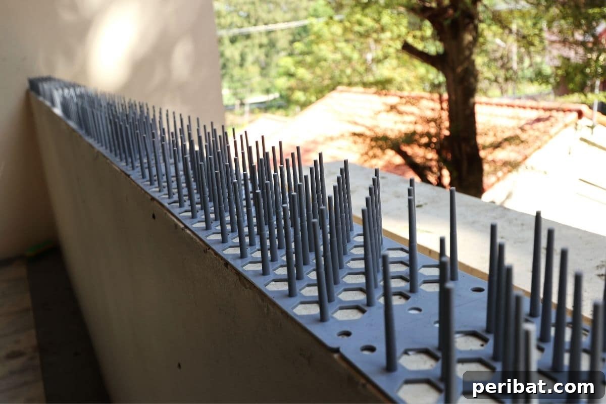 Gentle Solutions for a Crow Free Lawn 9 bird spikes on the railings in the balcony