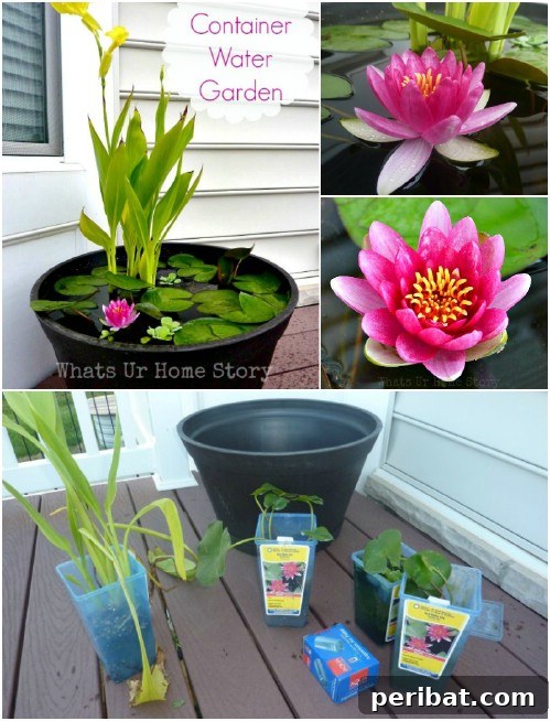 Mini Water Garden