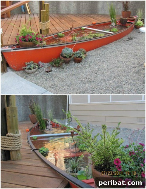 Canoe Feature