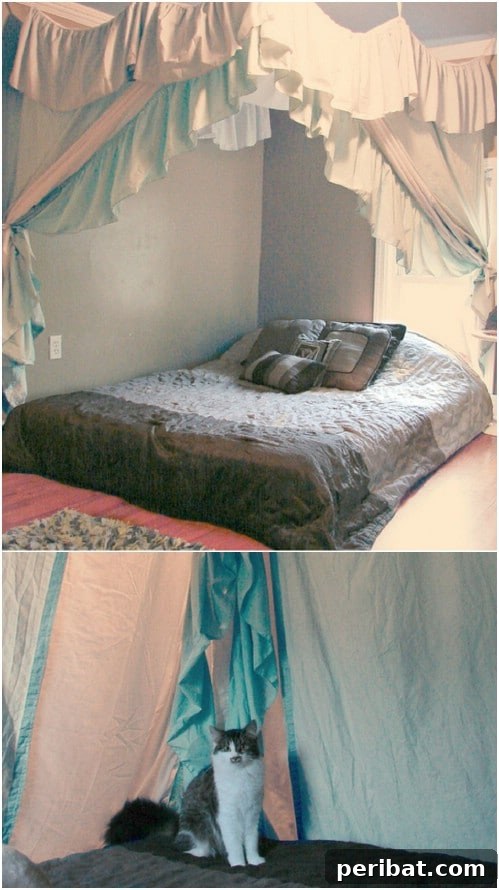 Elaborate Drapery Canopy with bed sheets