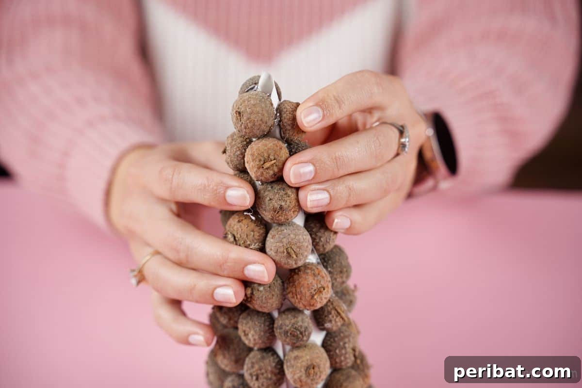 hands holding acorn cap treecone shape