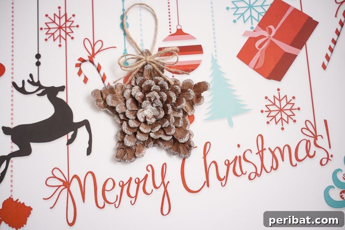 merry christmas holiday paper holding pinecone star