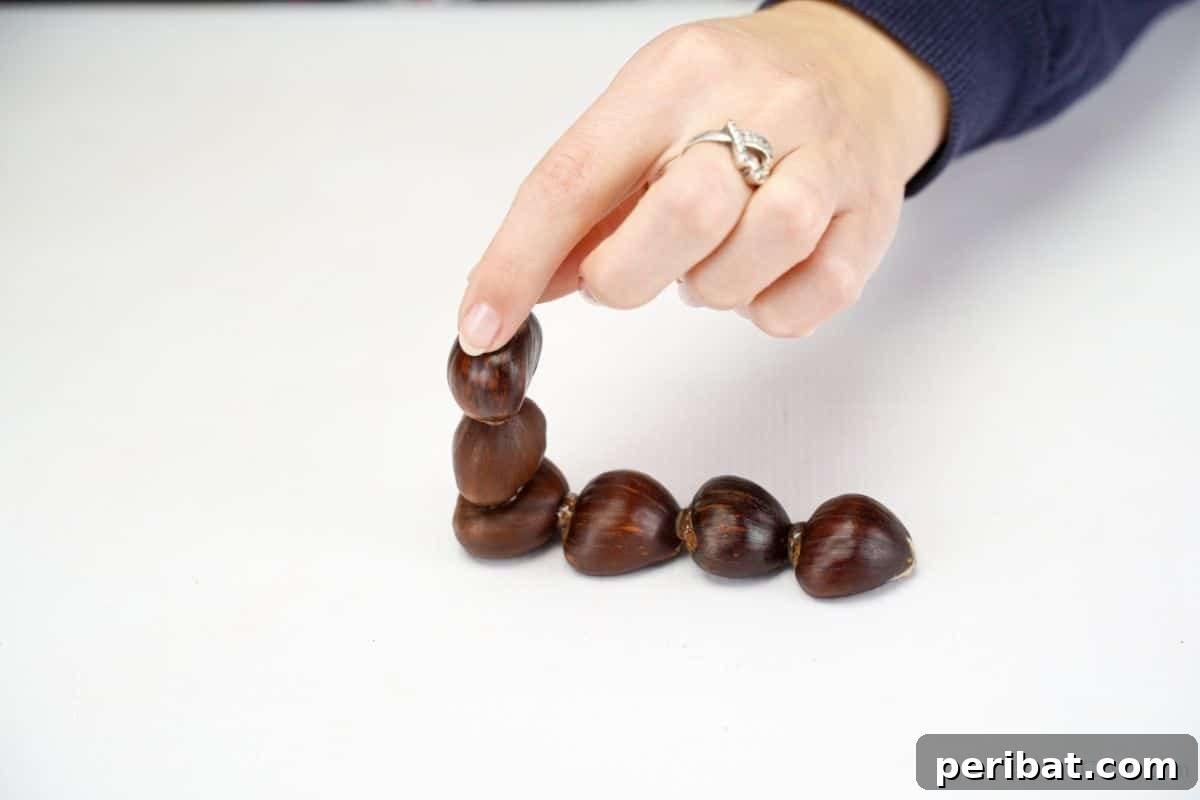Finger holding chestnuts together as glue dries on a white table, forming the snail's head and neck.