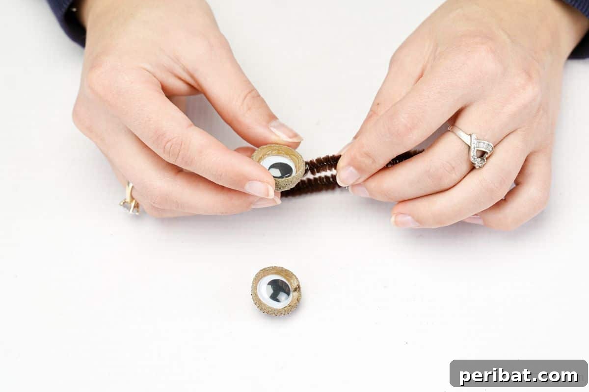 Acorn cap eye with a googly eye being glued to the end of a brown pipe cleaner, forming an antenna.