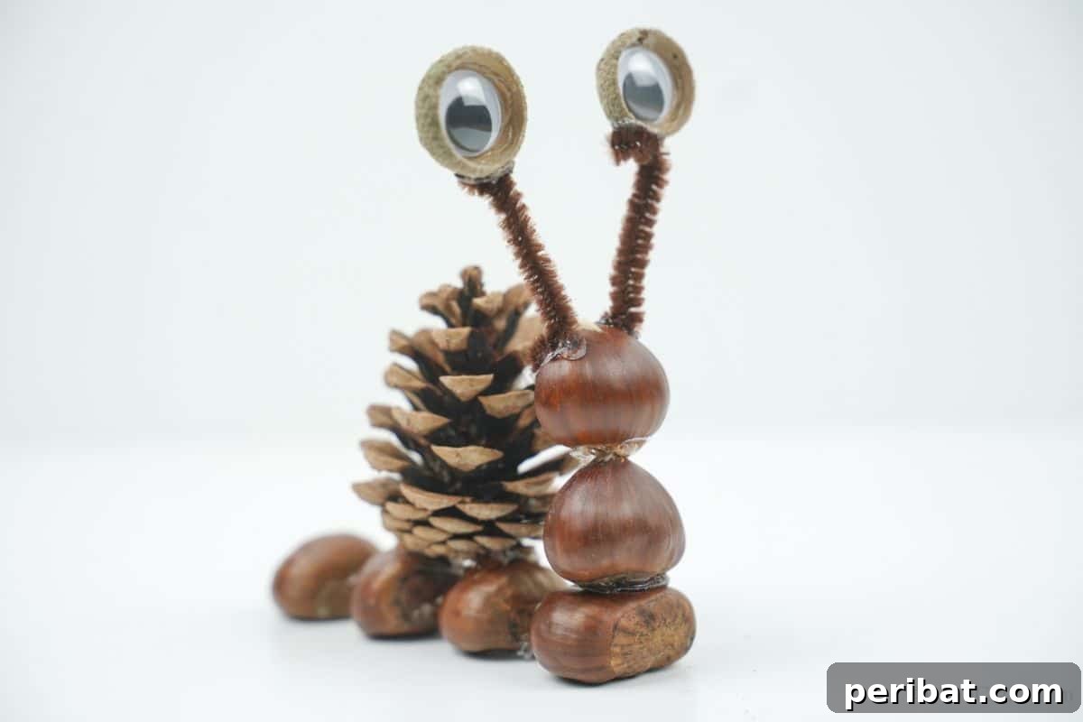 A charming pinecone snail sitting serenely on a clean white table, ready to be admired.