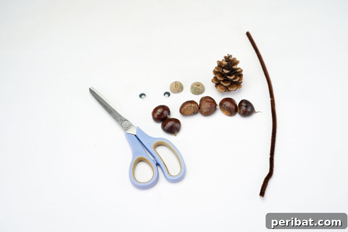 Crafting supplies including scissors, a pinecone, acorns, and a pipe cleaner laid out on a white table.