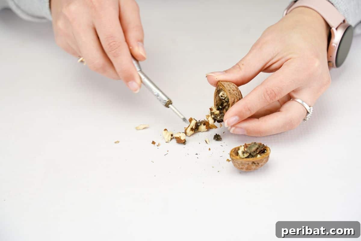 hand holding walnut shell cleaning nuts out of inside