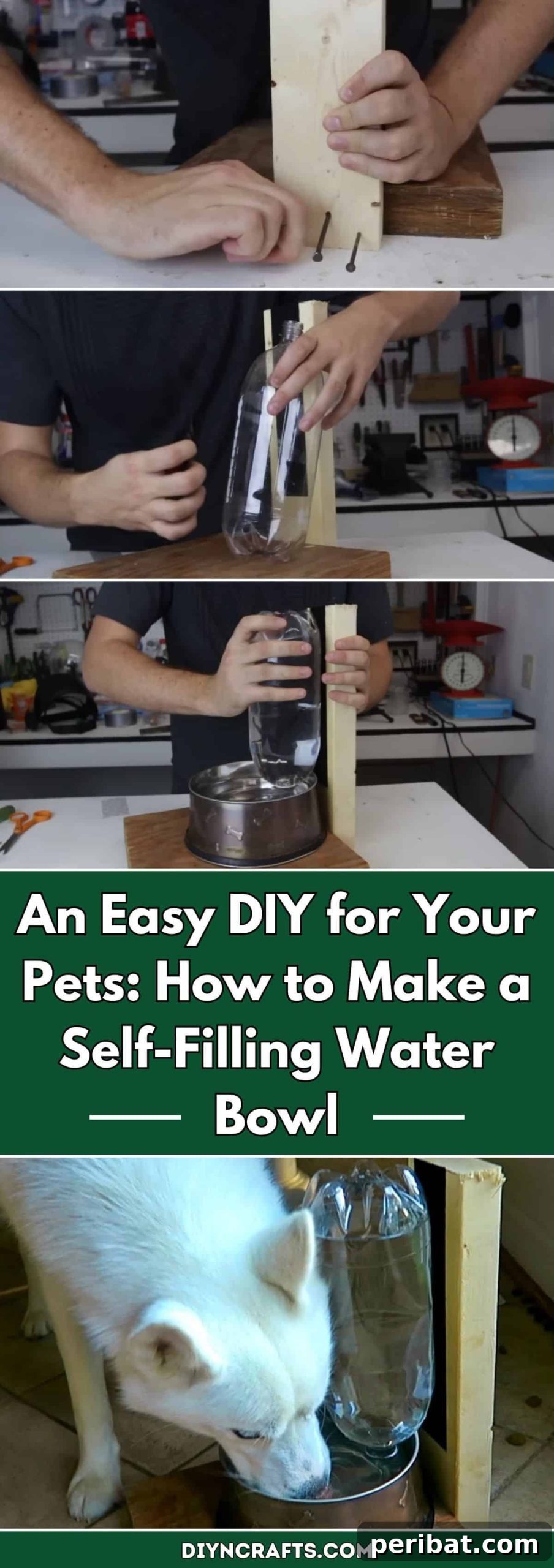 Hydrate Hands-Free: Your DIY Auto-Fill Pet Water System 2 An Easy DIY for Your Pets: How to Make a Self-Filling Water Bowl for Dogs and Cats
