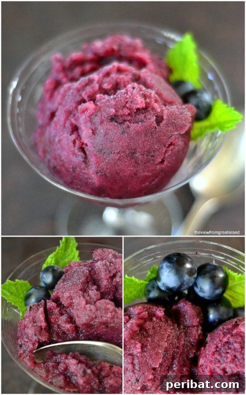 Rich Black Grape and Cognac Sorbet