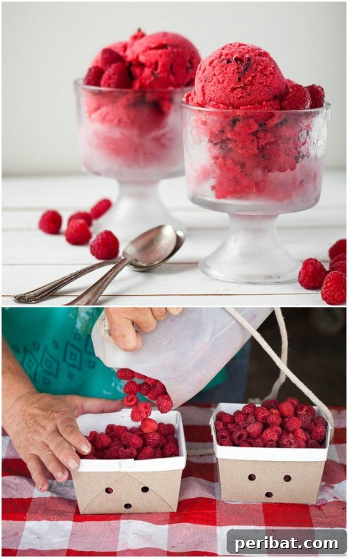 Luscious Raspberry Chocolate Chunk Sorbet