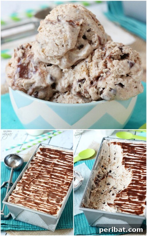 Warm Oatmeal Choc Chip Cookie Ice Cream
