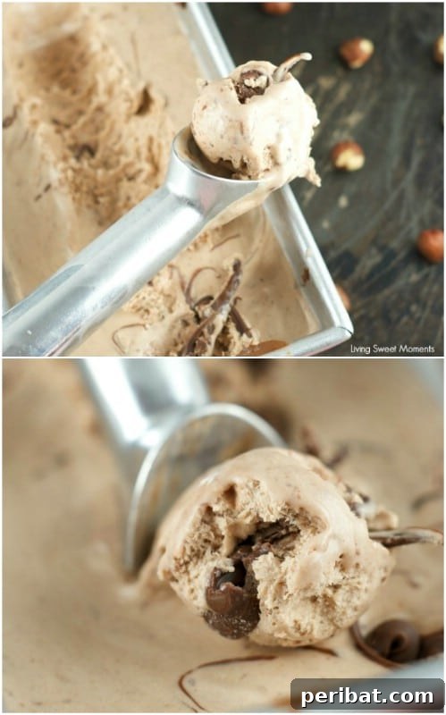 Rich Nutella No-Churn Ice Cream