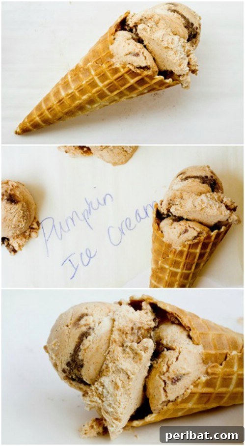Autumn-Inspired Cinnamon Pumpkin Ice Cream