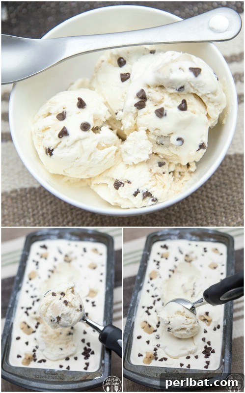 Irresistible Choc Chip Cookie Dough Ice Cream