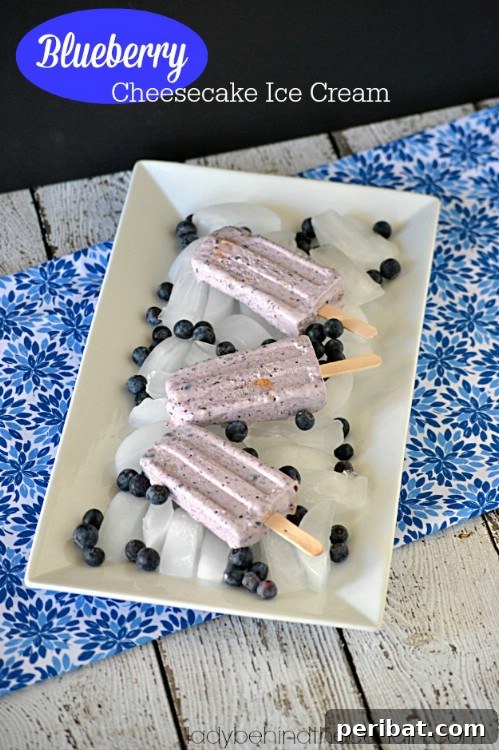 Creamy Blueberry Cheesecake Ice Cream