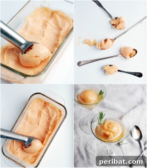 Elegant Peach and Prosecco Sorbet