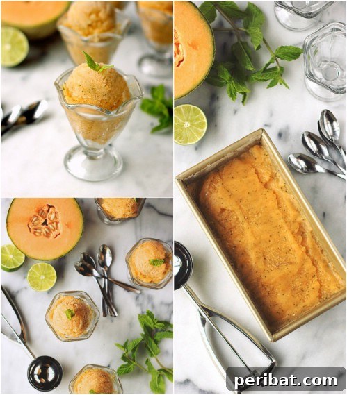 Cool and Refreshing Minty Melon Sorbet