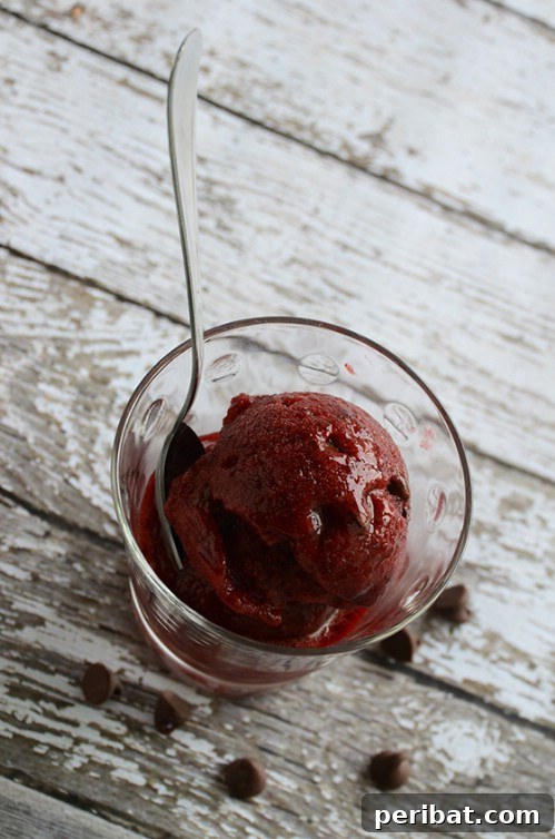 Decadent Cherry Chocolate Sorbet