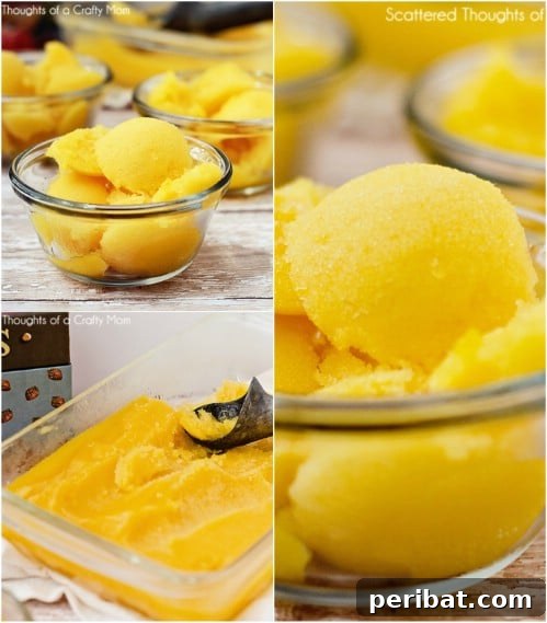 Exotic Mango Sorbet