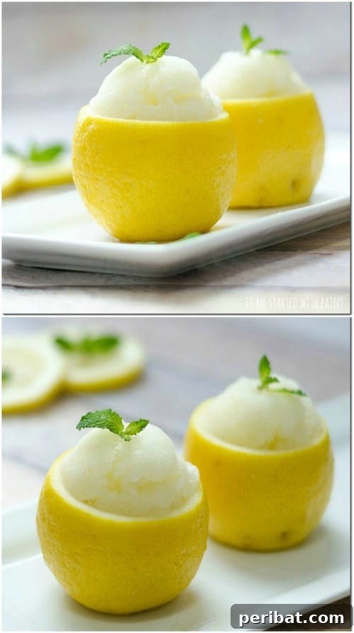 Bright and Tangy Lemon Sorbet