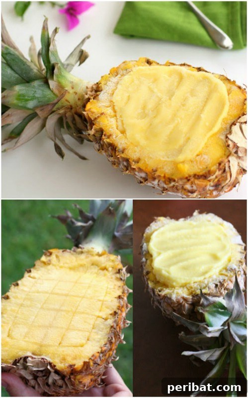 Sweet and Tangy Pineapple Sorbet