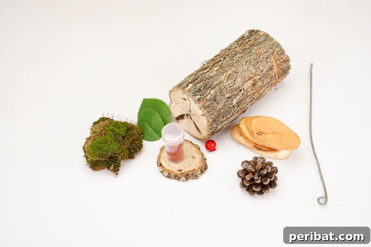 wood slices pinecones and log on white table