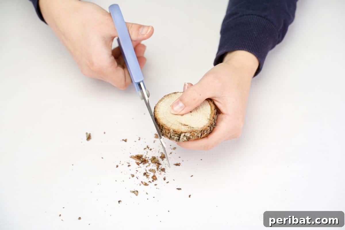 hand holding blue scissors to trim bark off of wood slice