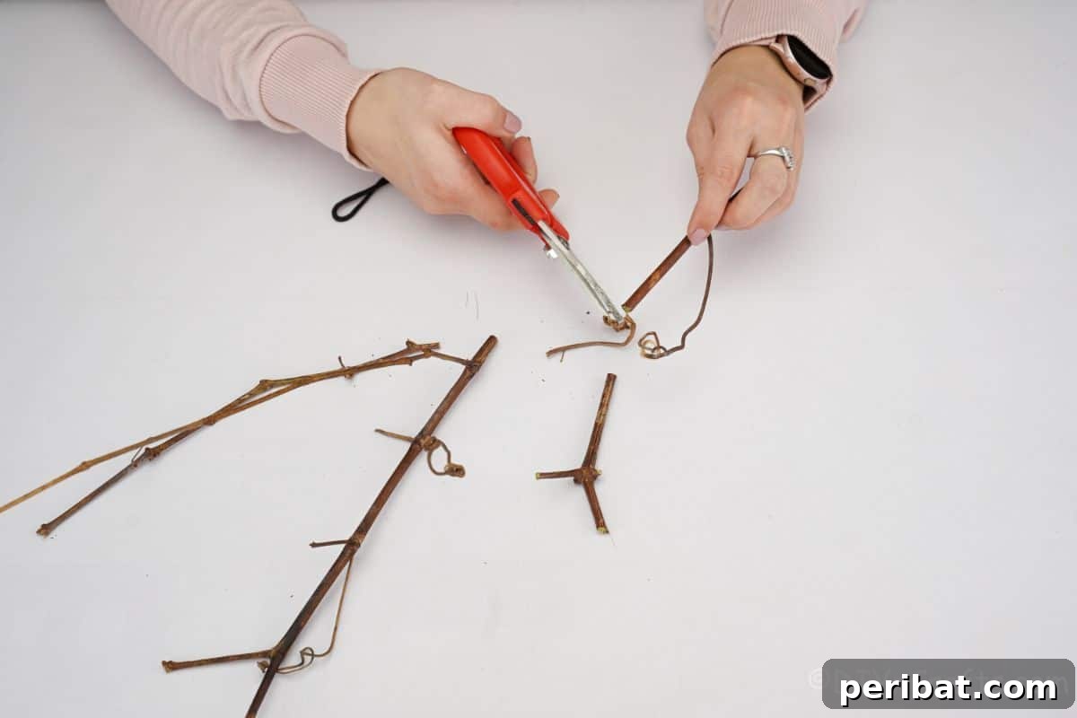 A hand clipping a small branch with sharp pruning shears, a vital step in preparing materials for a natural craft project