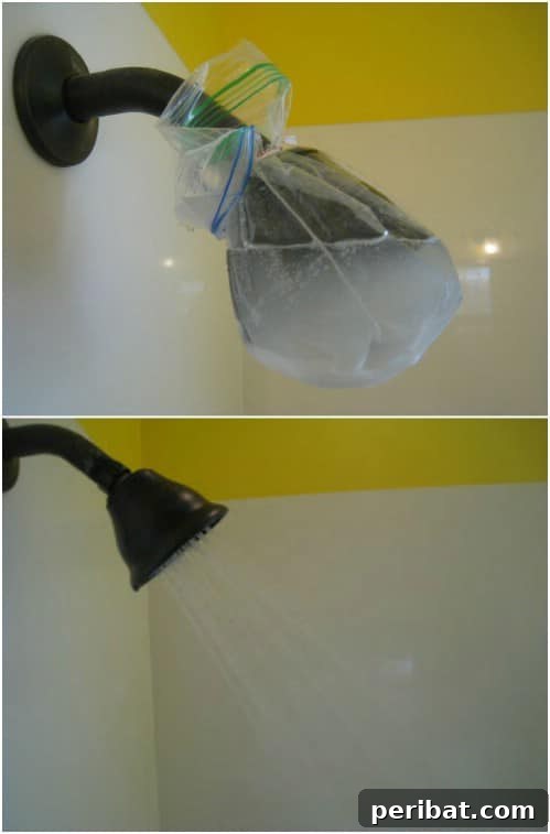 Easy Shower Head Cleaning: Remove Limescale with Vinegar (No Scrubbing!)