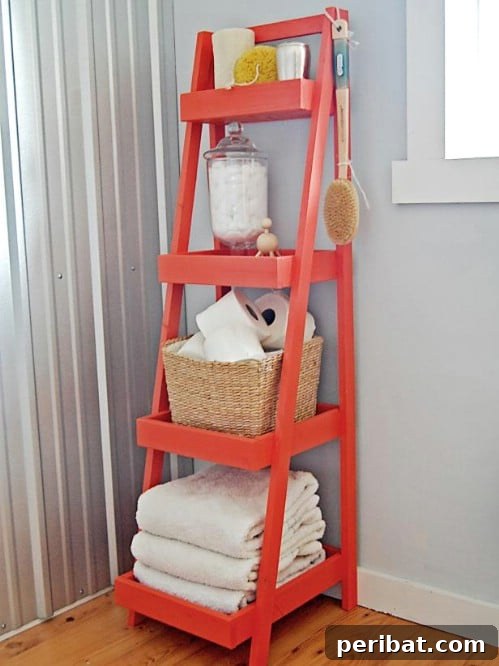 DIY Bathroom Storage Ladder: Rustic or Modern Vertical Organization