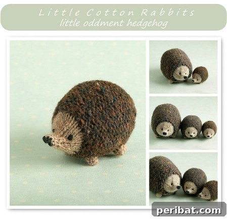 Little knitted hedgehogs
