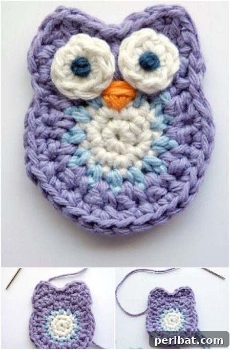 Crochet a cute owl