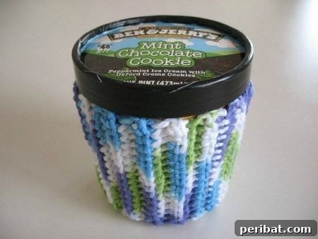 Ice cream cozy