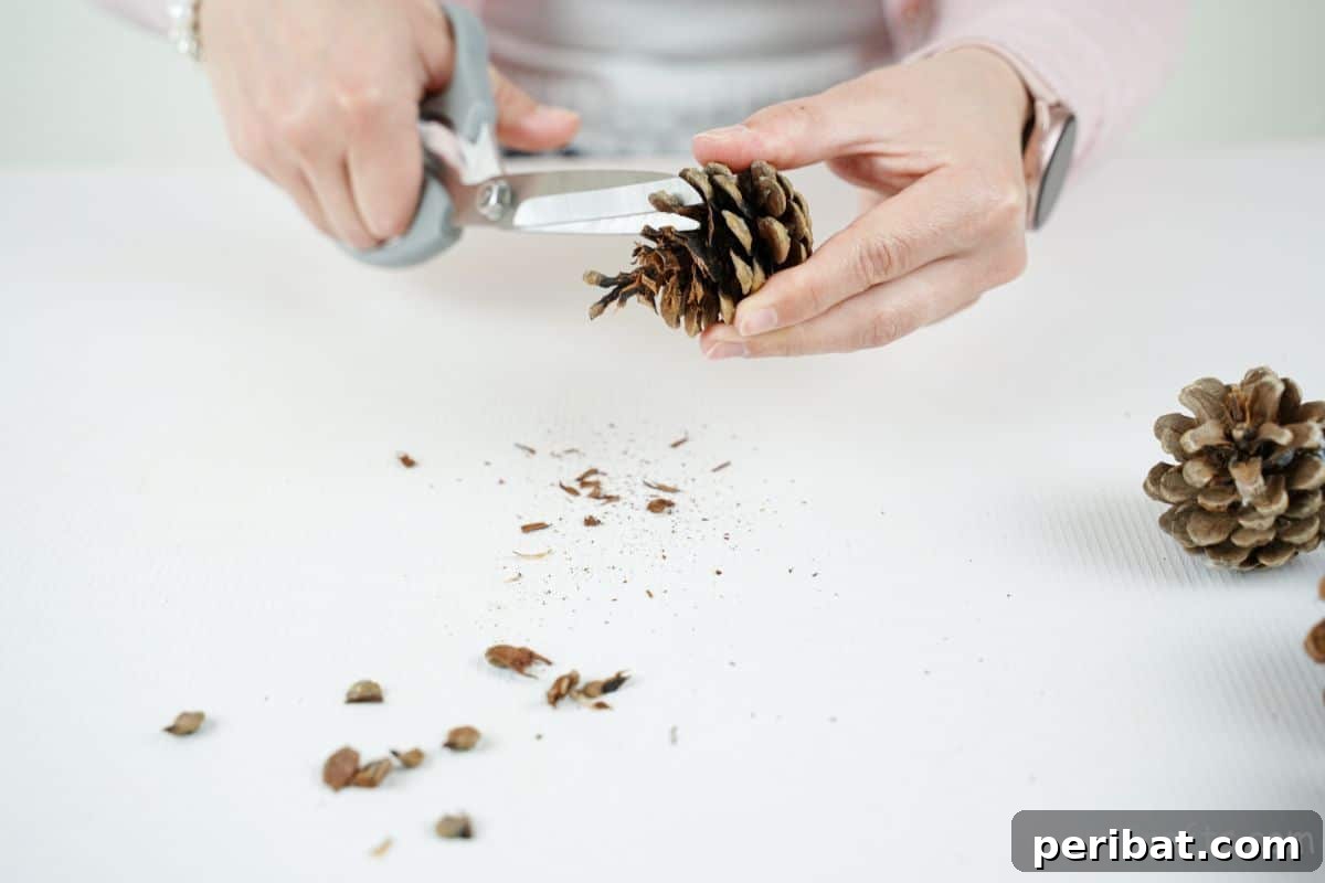 Nature-Inspired Upcycled Tin Can Planters 17 scissors clipping pinecone scales off pinecone