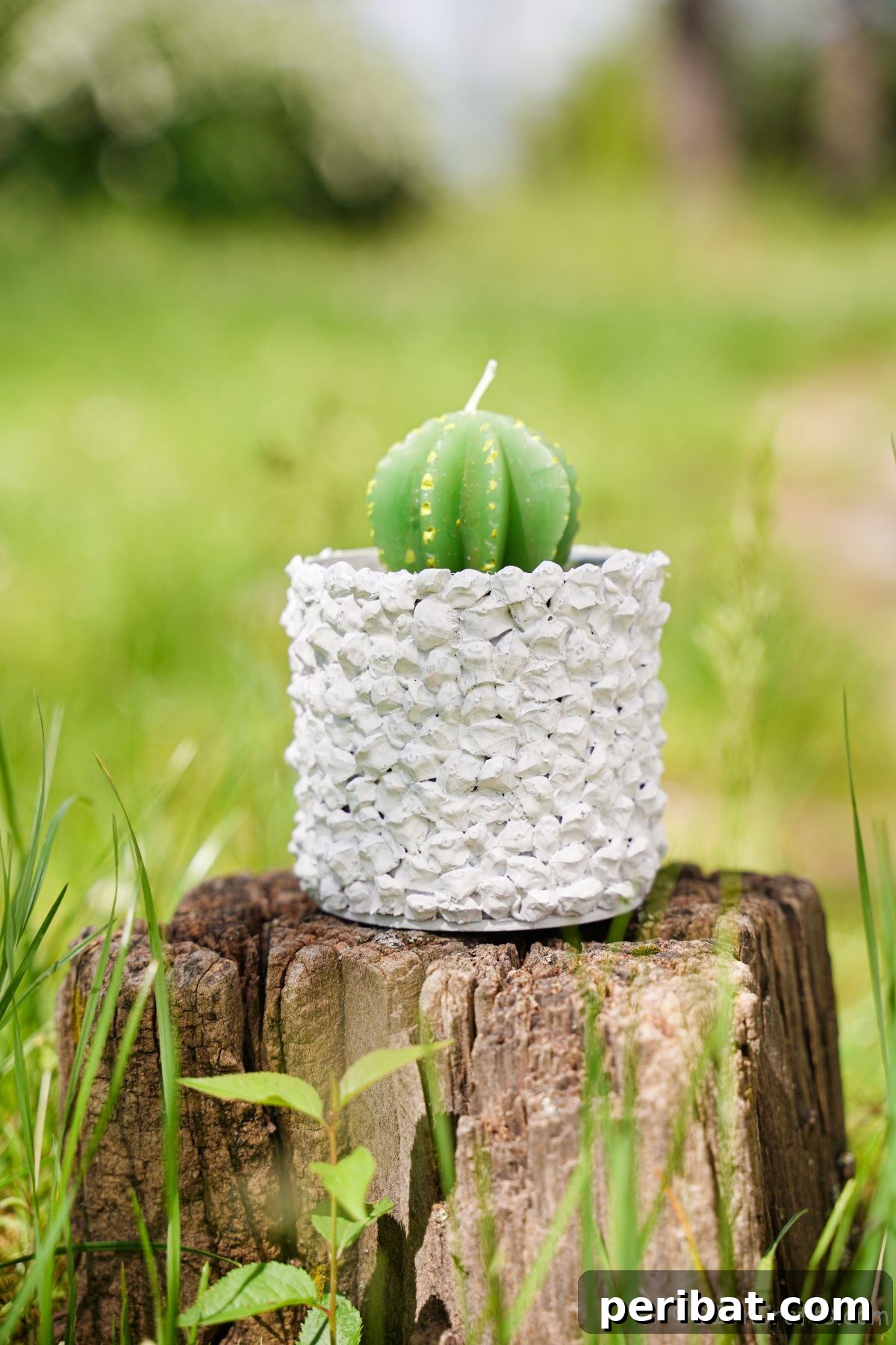 Nature-Inspired Upcycled Tin Can Planters 23 A beautifully painted white upcycled tin can planter, featuring a textured pinecone surface, elegantly displayed on top of a tree stump in an open field.