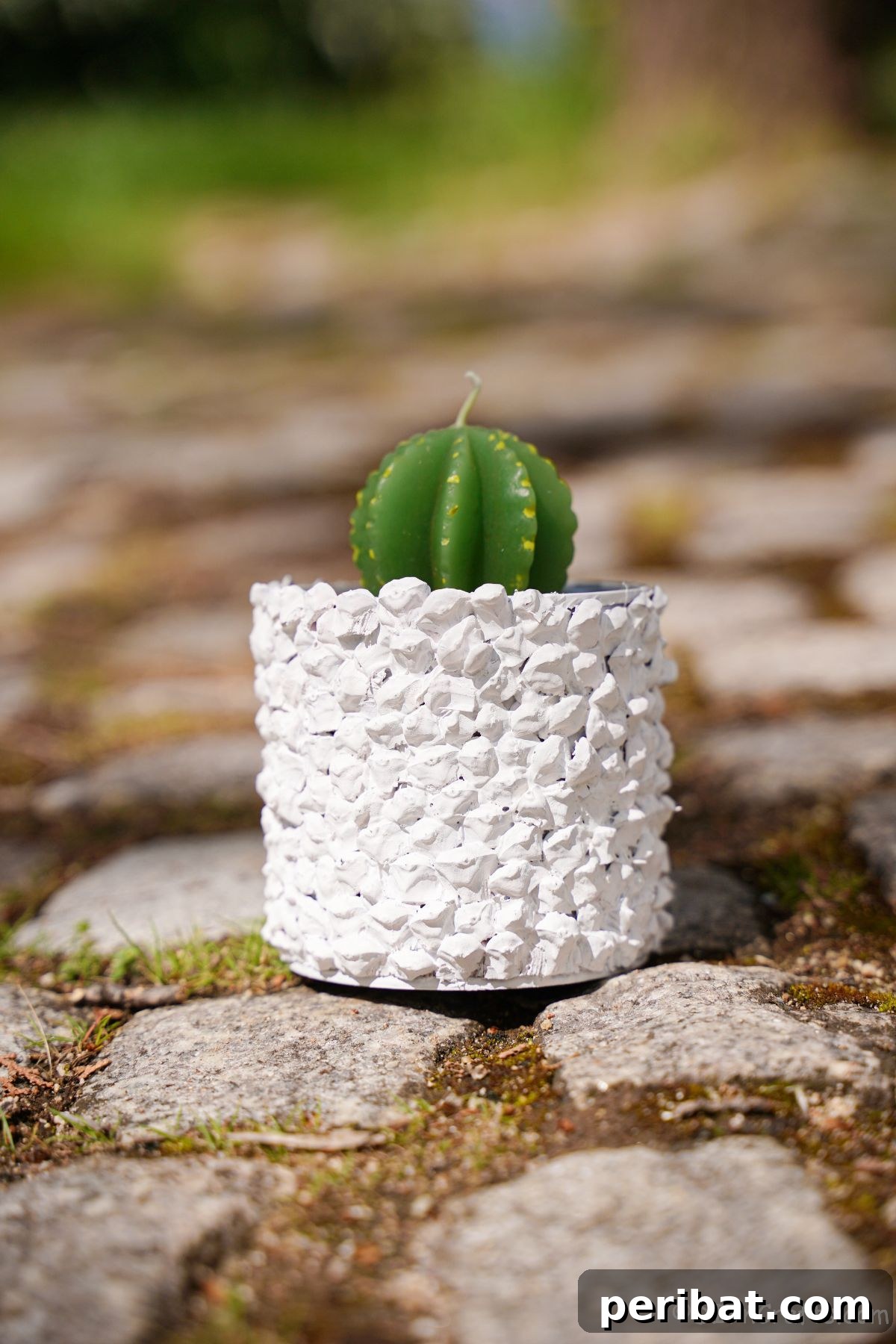 Nature-Inspired Upcycled Tin Can Planters 4 A crisp white upcycled tin can planter featuring a green cactus candle, placed elegantly on a stone path, ready to enhance outdoor or indoor spaces.